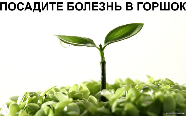 Картинки по запросу ПОСАДИТЕ БОЛЕЗНЬ В ГОРШОК